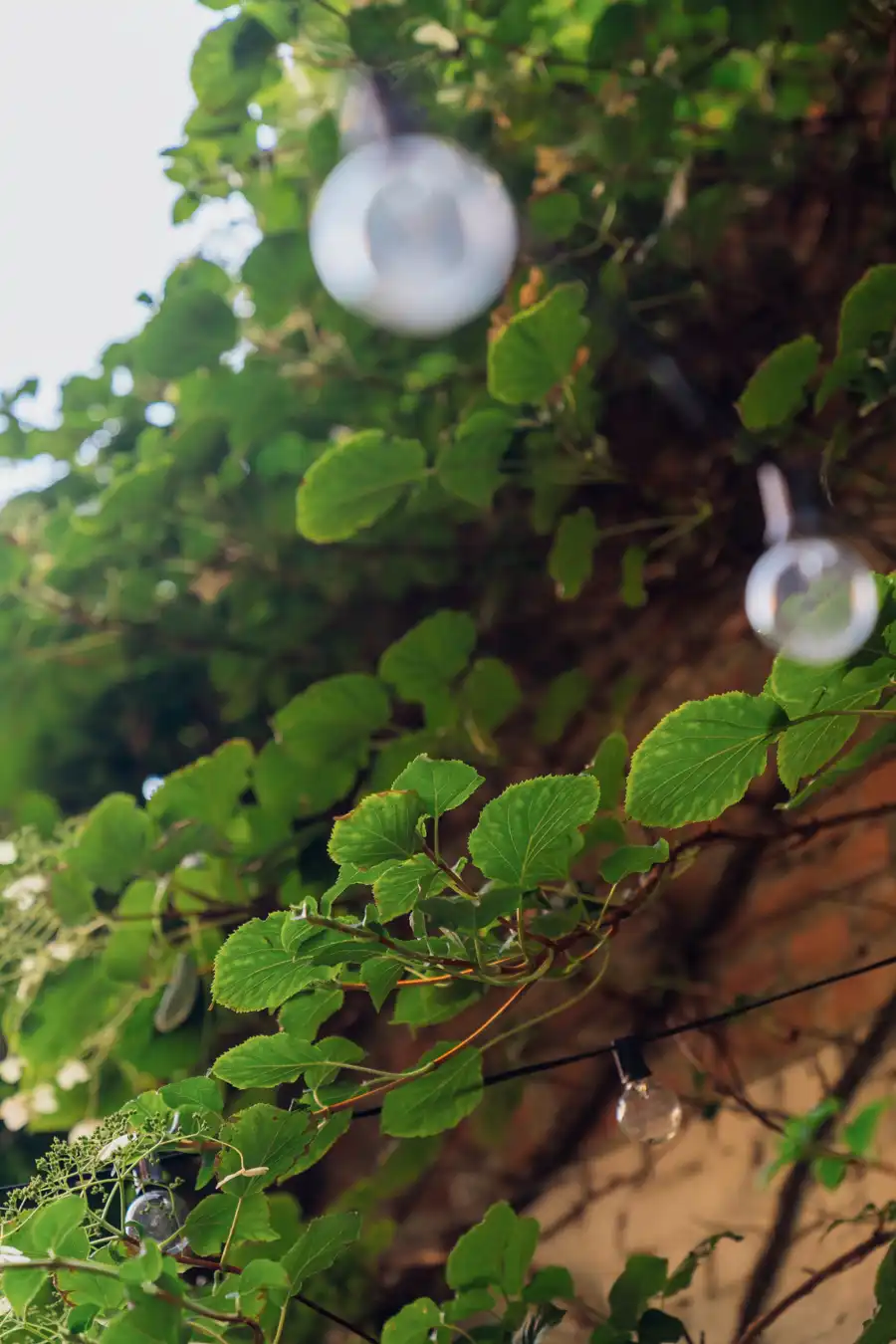 Green apartment met terras en Argentijnse vibes in de wijk Pulhof foto 17