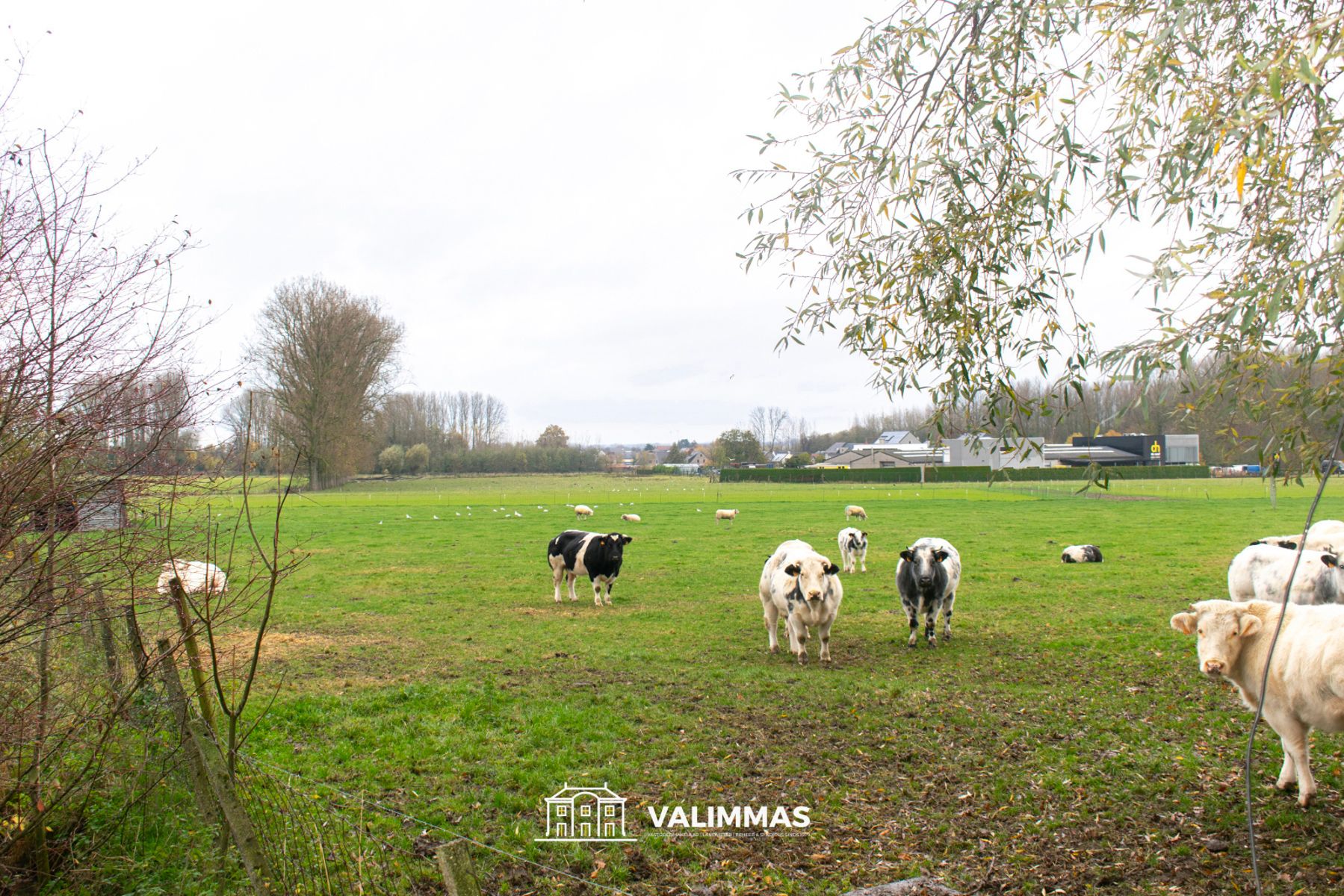 Mooi gelegen weiland, ± 41 are foto {{pictureIndex}}