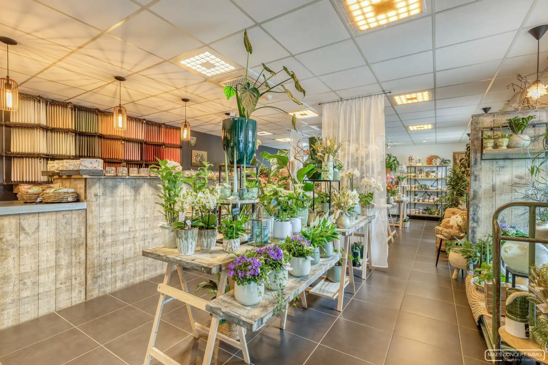 Investeringsopportuniteit - 2 verhuurde handelspanden en appartement te koop in Waregem foto 6