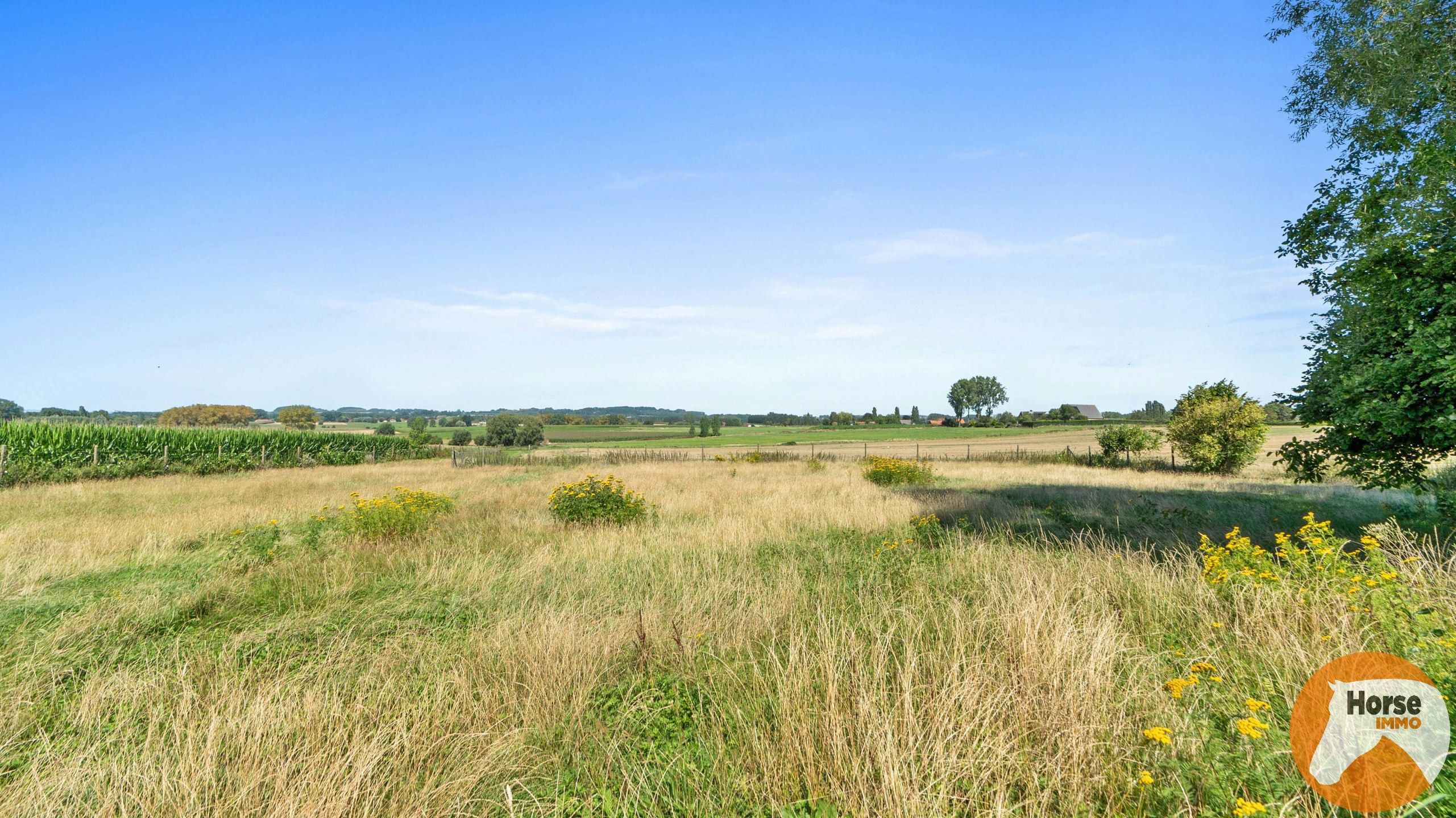 HERNE - Prachtig gelegen woning met grote loods op +-66a foto 18