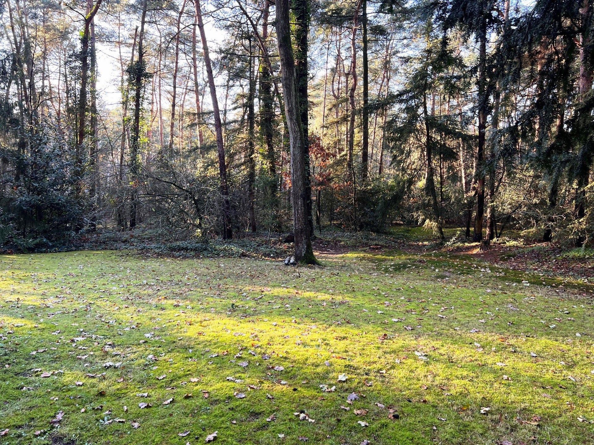 Gerenoveerde gezinswoning met 4 slaapkamers in Vosselaar foto 13