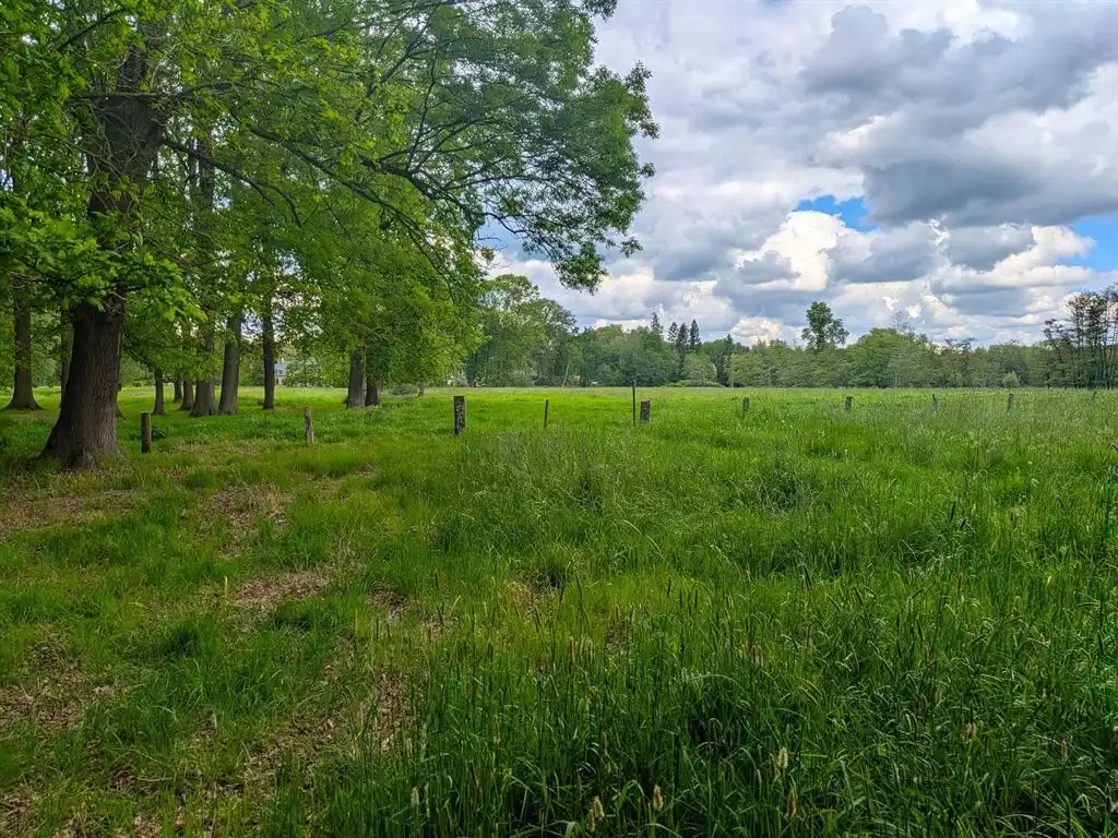 Perceel van 3.000m² voor open bebouwing met zicht op weilanden foto 7