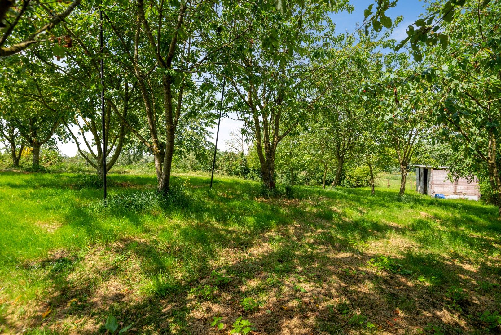 Zeldzaam! Landgoed 4035m² met quasi energie neutrale villa (322m²) te Opwijk foto 28