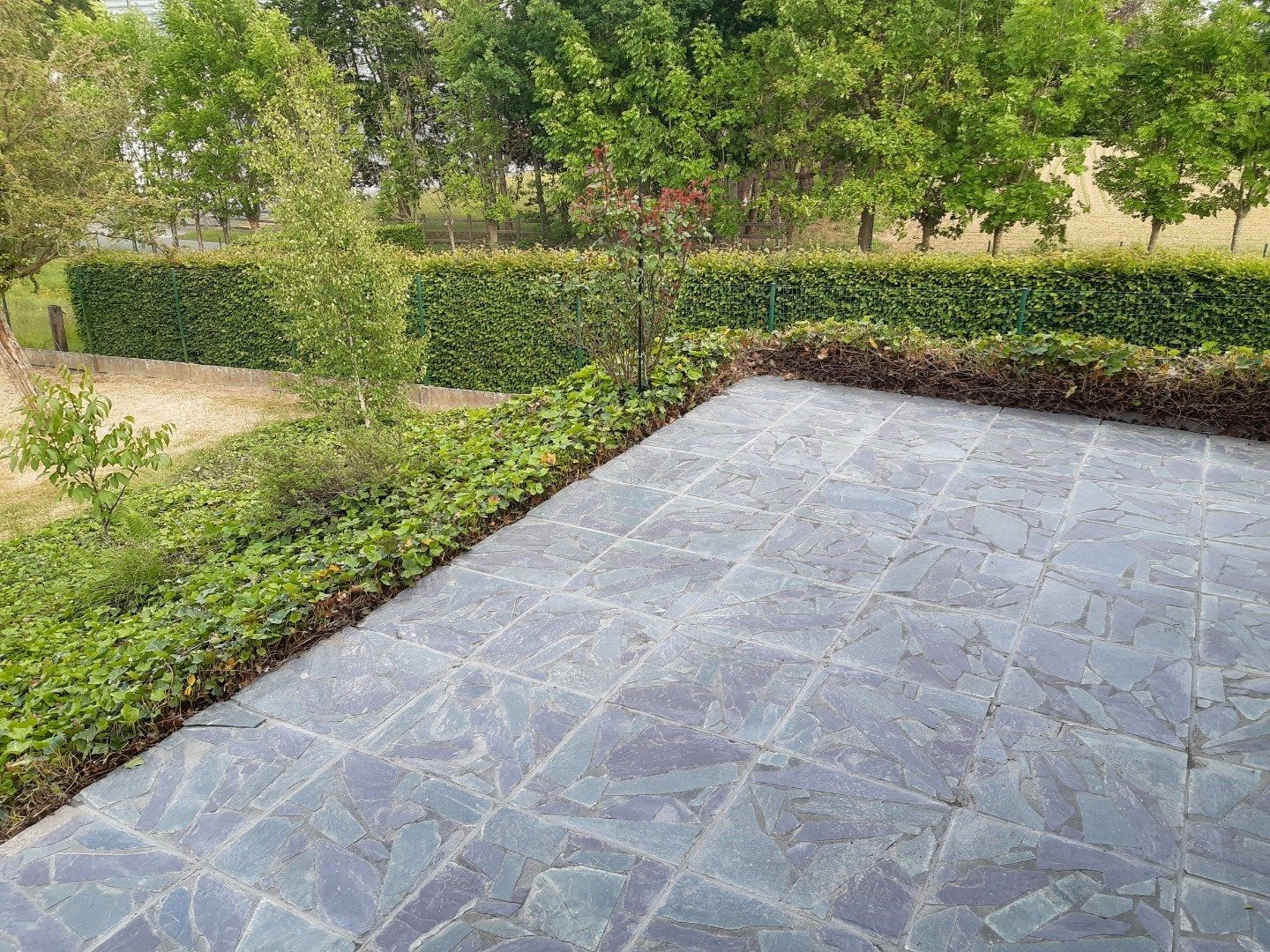 Gelijkvloers, landelijk wonen. foto 12