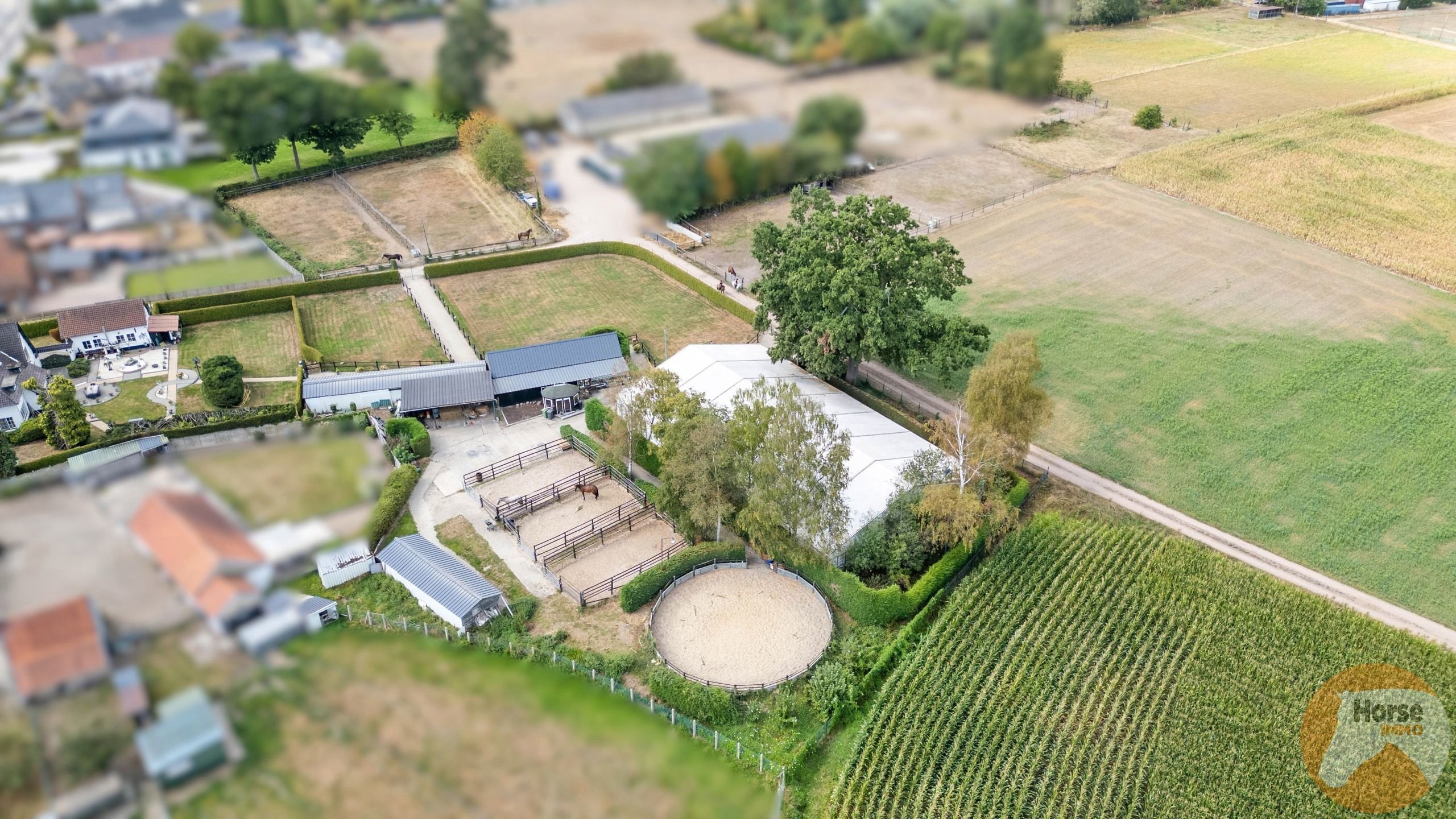 NEEROETEREN - Woning met accommodatie voor (semi)professioneel foto 3