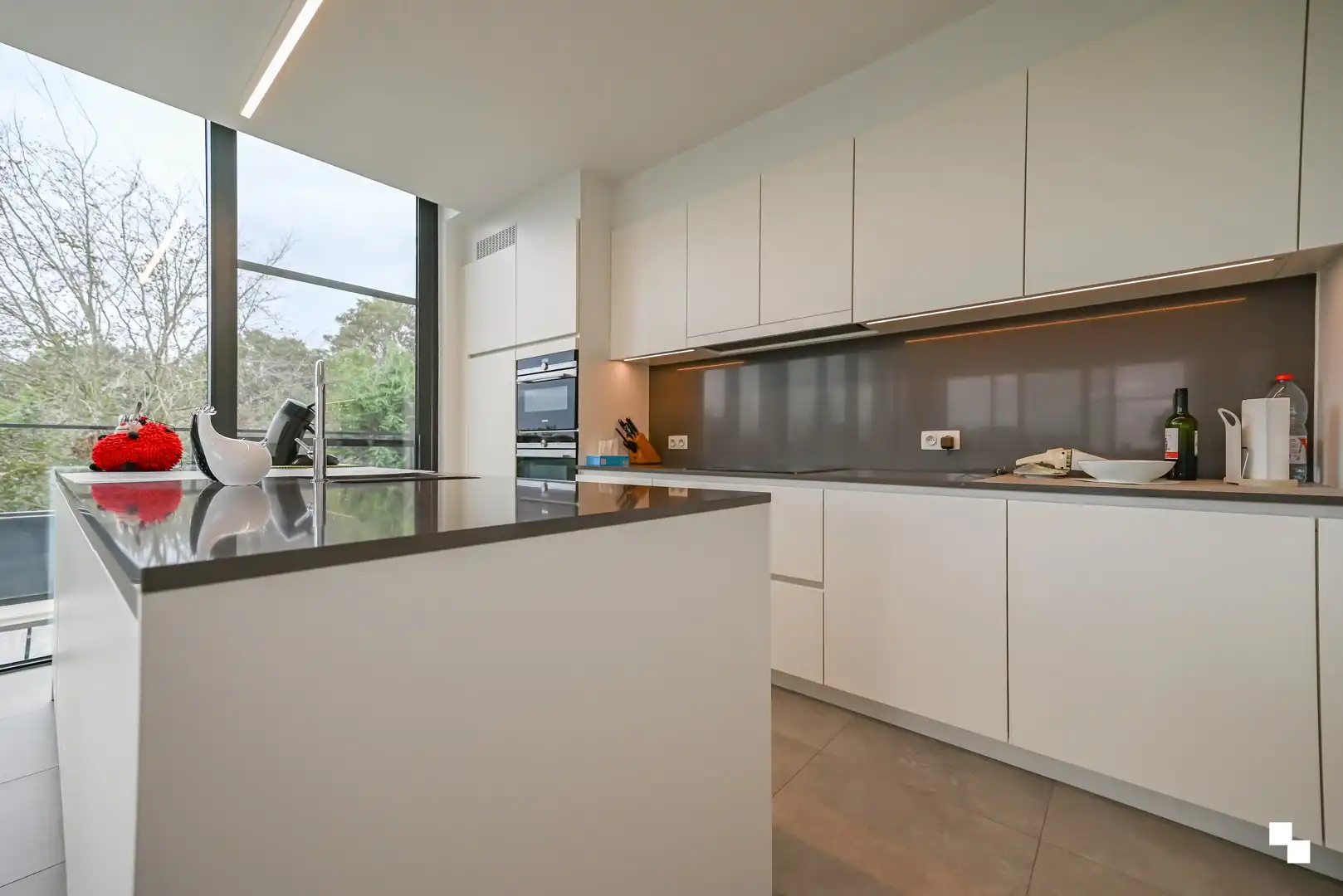 Uniek & bijna energieneutraal penthouse met riant terras te Bosmolens foto 11