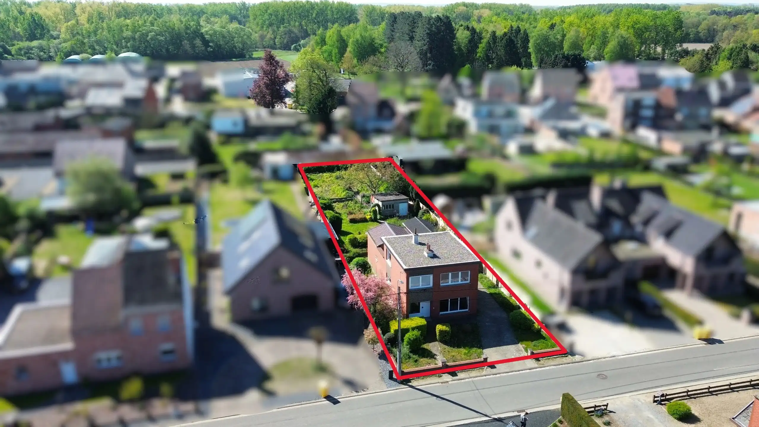 Huis te koop foto 3