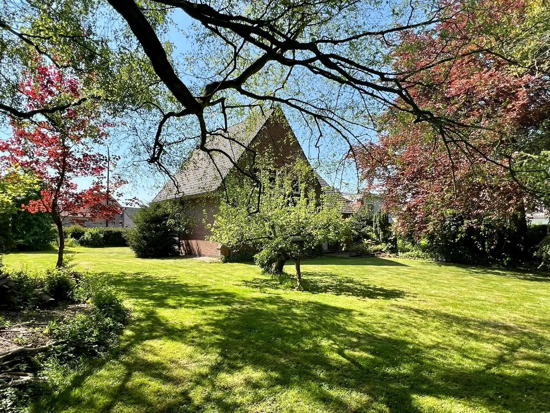 Ruime eigendom met woning, atelier en uitbreidingspotentieel  foto 15