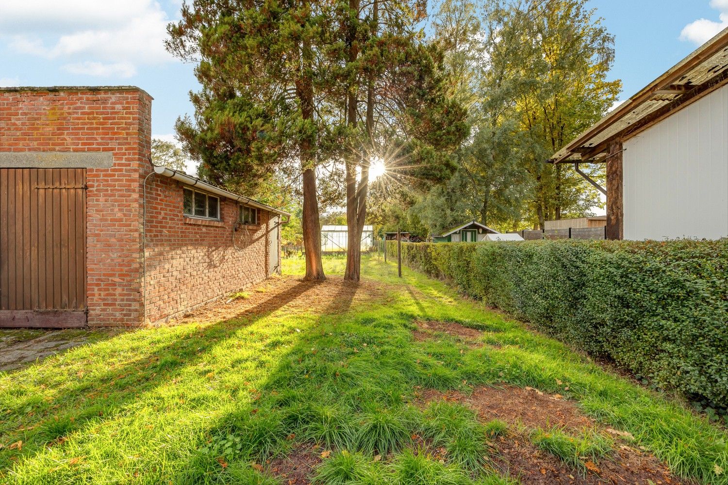 VERKOCHT Te renoveren halfopen bebouwing met zuidwestgerichte tuin in Hoogboom (Kapellen) foto 18