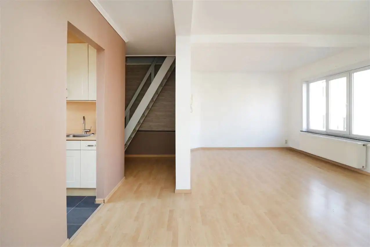 charmant, ruim, mogelijkheid beroep of kangoeroe foto 14