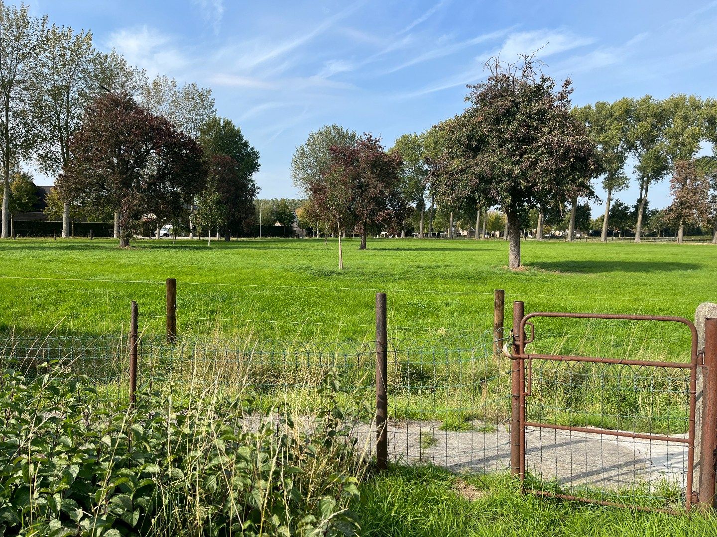 Moderne nieuwbouwwoning in Koolkerke foto 3