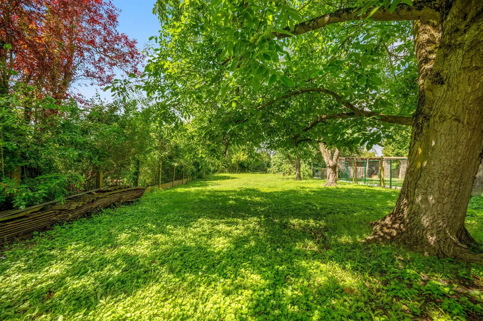 Loods met garage en tuin op ruim perceel van 827 m² foto 16