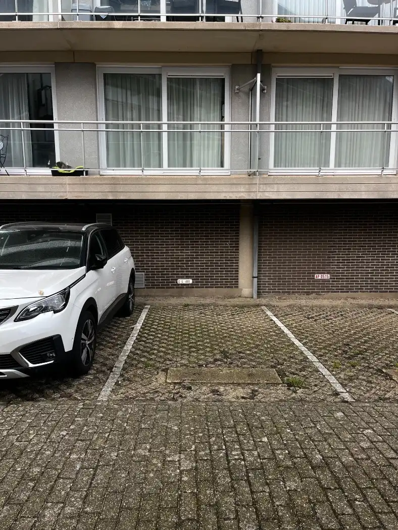 Zandroos I 05.01 Koksijde foto 17