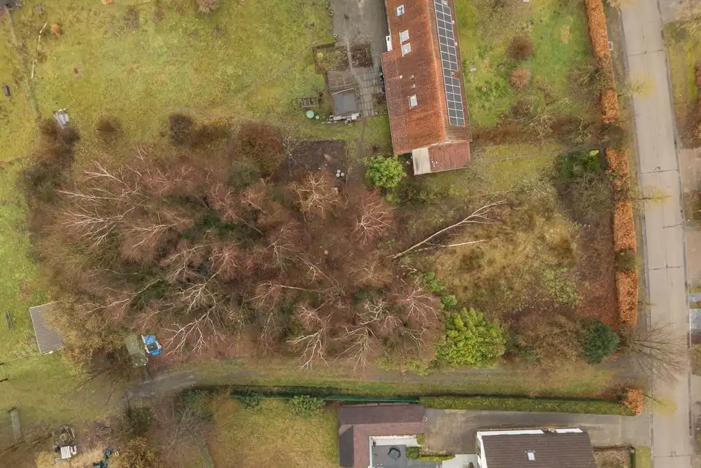 Langgevelhoeve op ca. 5 ha. vlak bij het dorp van Schilde, inclusief enkele bouwgronden. foto 35