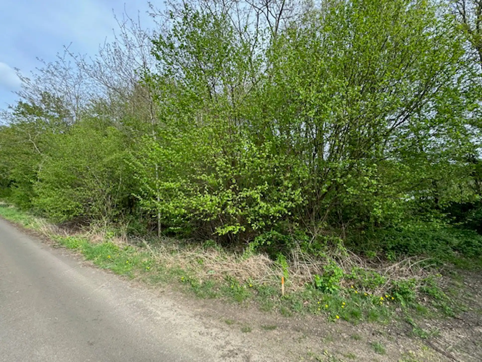 Bouwgrond voor open bebouwing (79 meter straatbreedte) foto {{pictureIndex}}