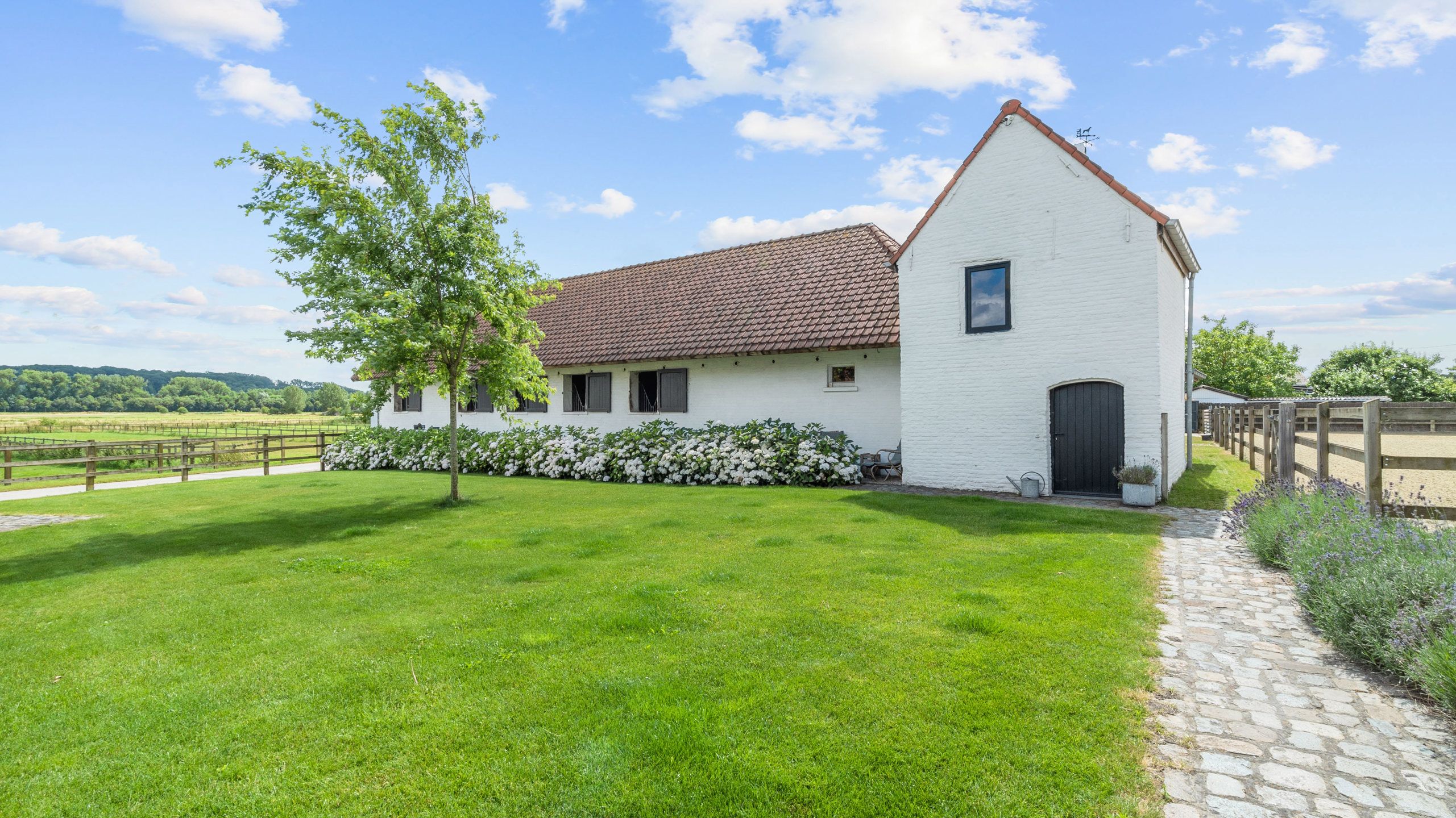 WORTEGEM-PETEGEM - Woning met bijgebouw, paardenaccomodatie foto 5