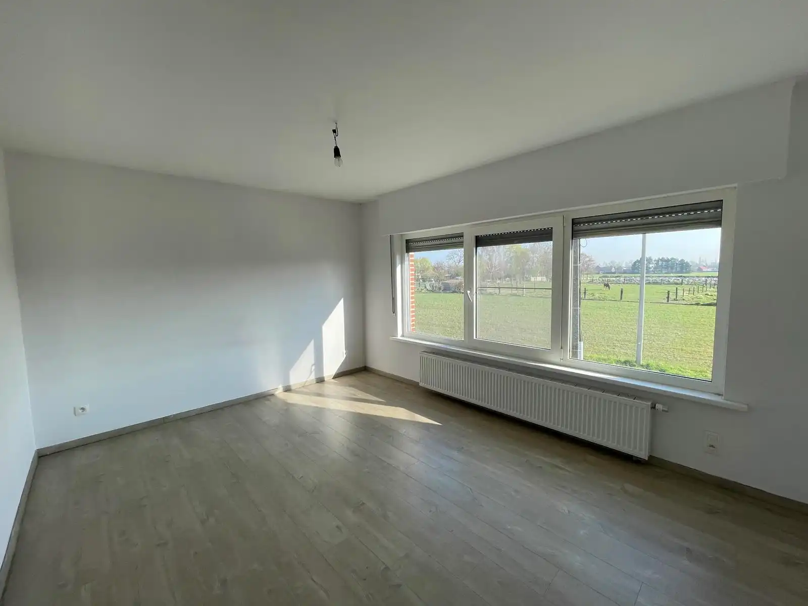 WICHELEN - Ruime woning met multifunctionele loods. foto 9