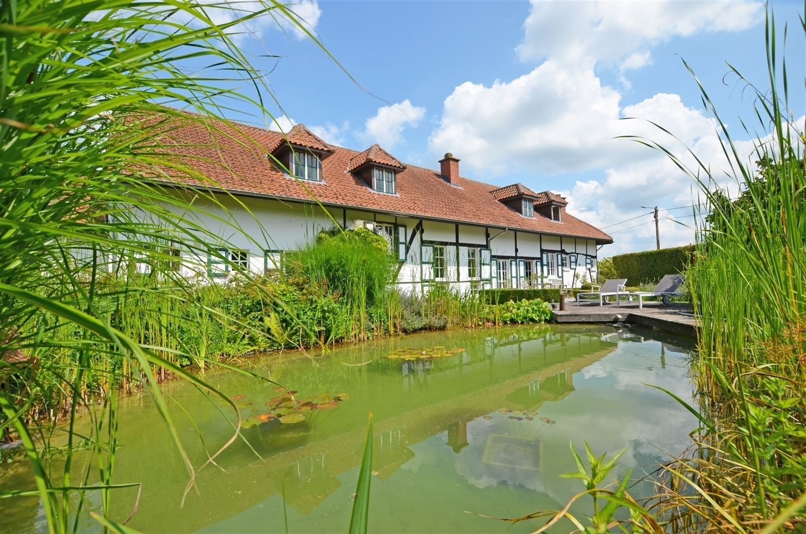Landelijk gelegen vierkantshoeve op ±1.4Ha foto 3