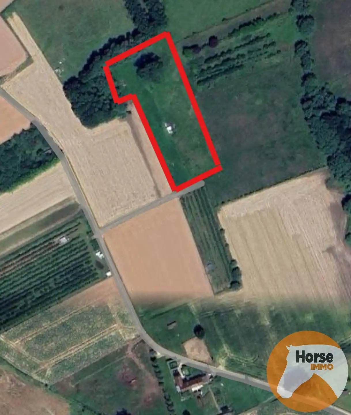 HAALTERT – Weide met stal op ± 65 are foto {{pictureIndex}}