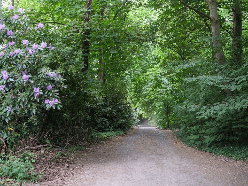 Te realiseren villa (417 m²) in het pittoreske Deurle foto 7