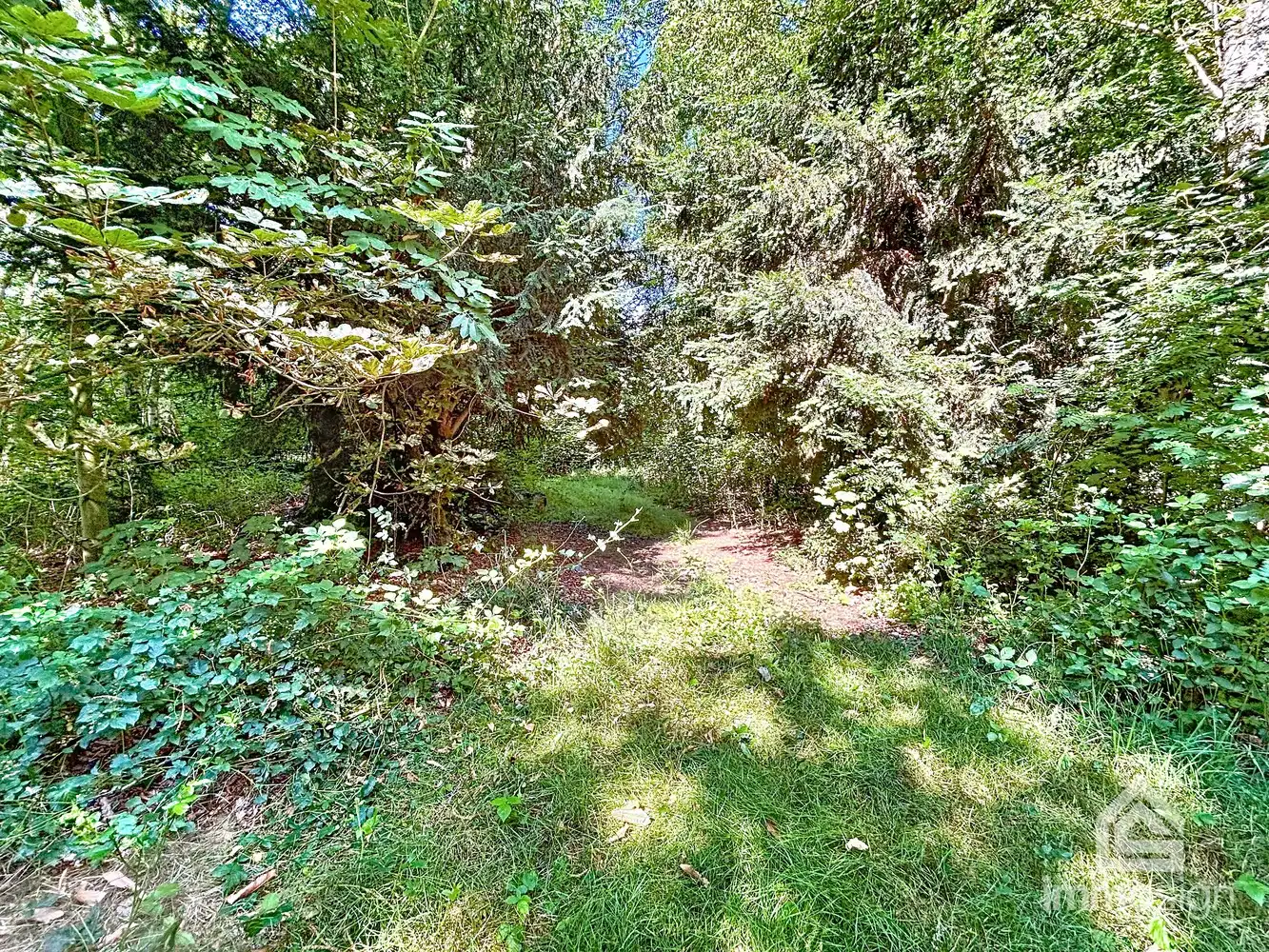 Uniek stuk grond van 9.050 m² in Grote-Brogel/Peer! foto 10