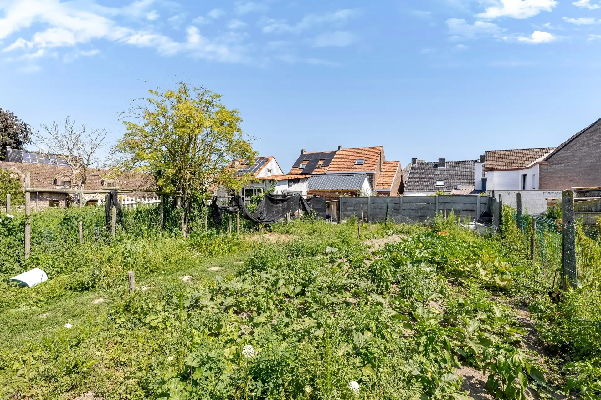 Ruime gezinswoning met grote tuin in Burst foto 19