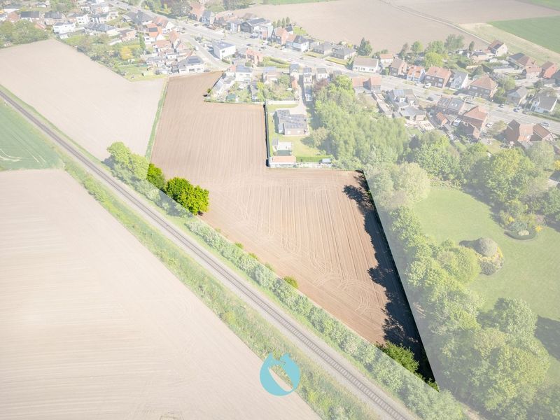Zuid georiënteerd perceel bouwland van 5.506 m² te Evergem foto 2