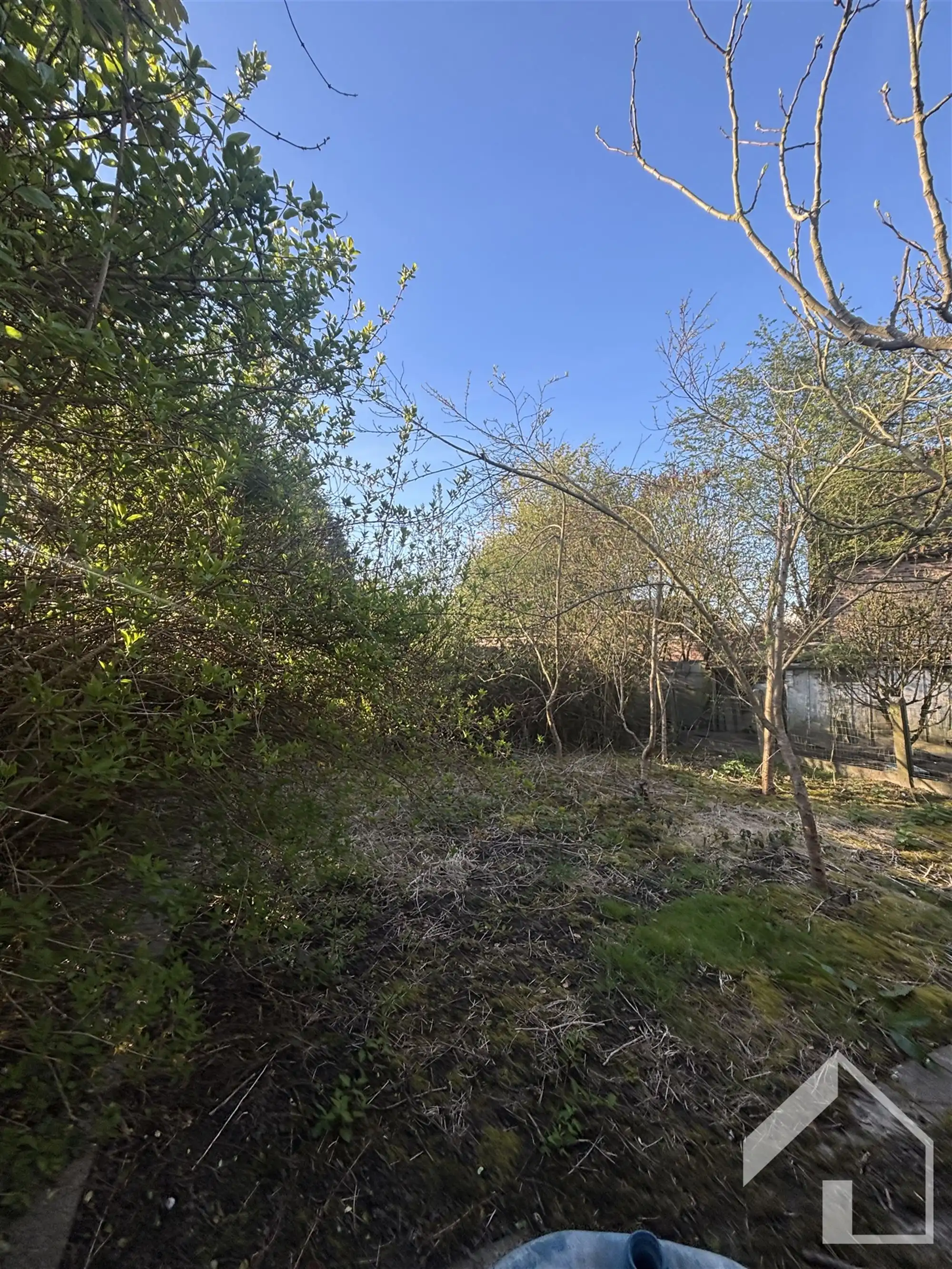 Projectgrond in centrum van Ranst foto 5