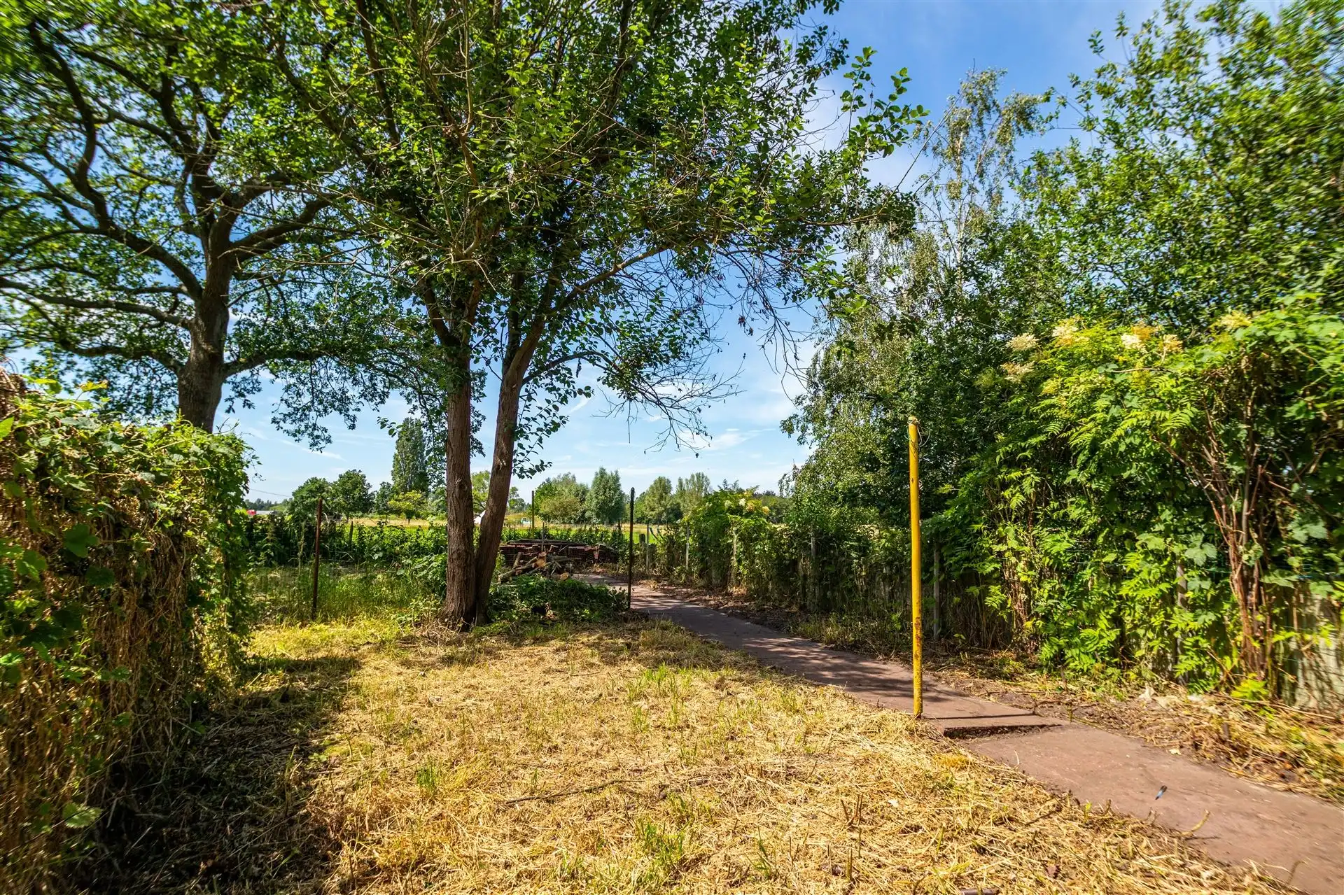 Statige woning met vrij uitzicht & vergund bijgebouw foto 21