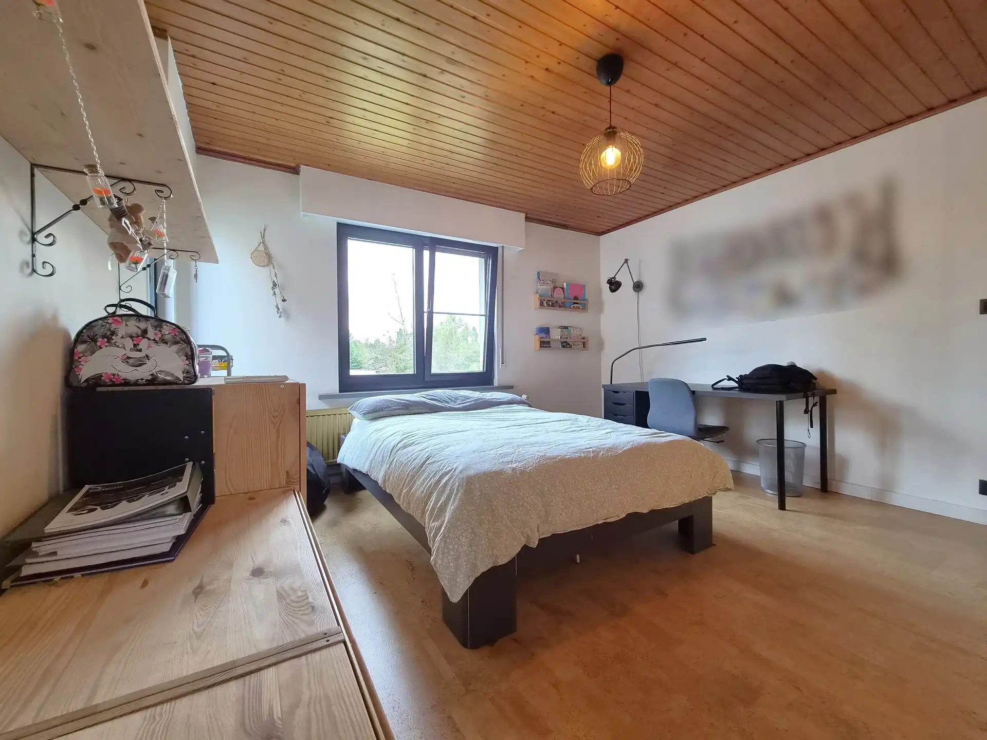 Kijkdag zaterdag 17 oktober tussen 10u en 13u, op afspraak  foto 12