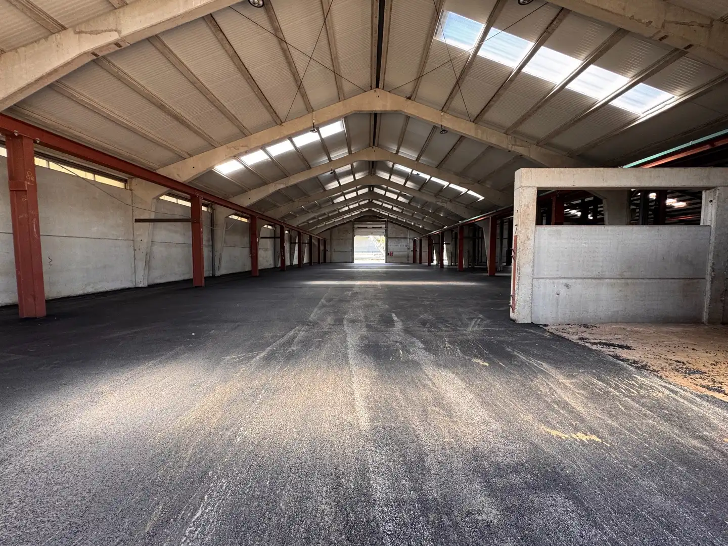 Magazijnruimte van 4.000 m² in Zwevezele foto 6