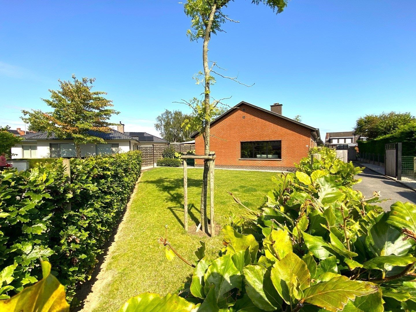 Gerenoveerde alleenstaande gezinswoning met 4 kamers in een kindvriendelijke rustige omgeving.  foto 3