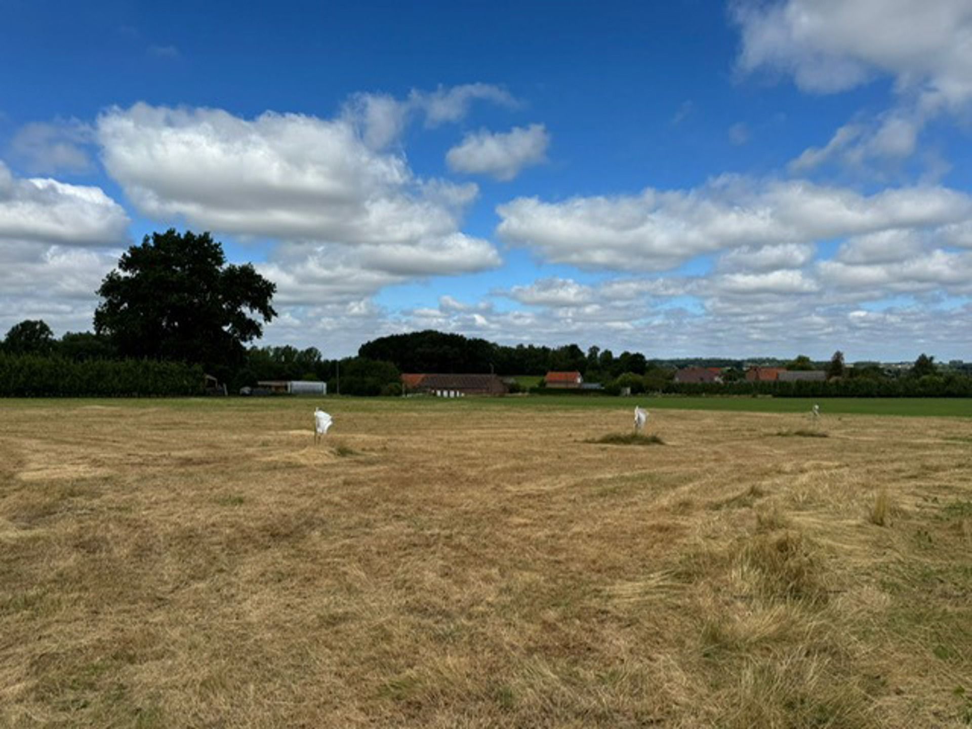 Halfopen bebouwing met mooi vergezicht in Kortenaken foto 3