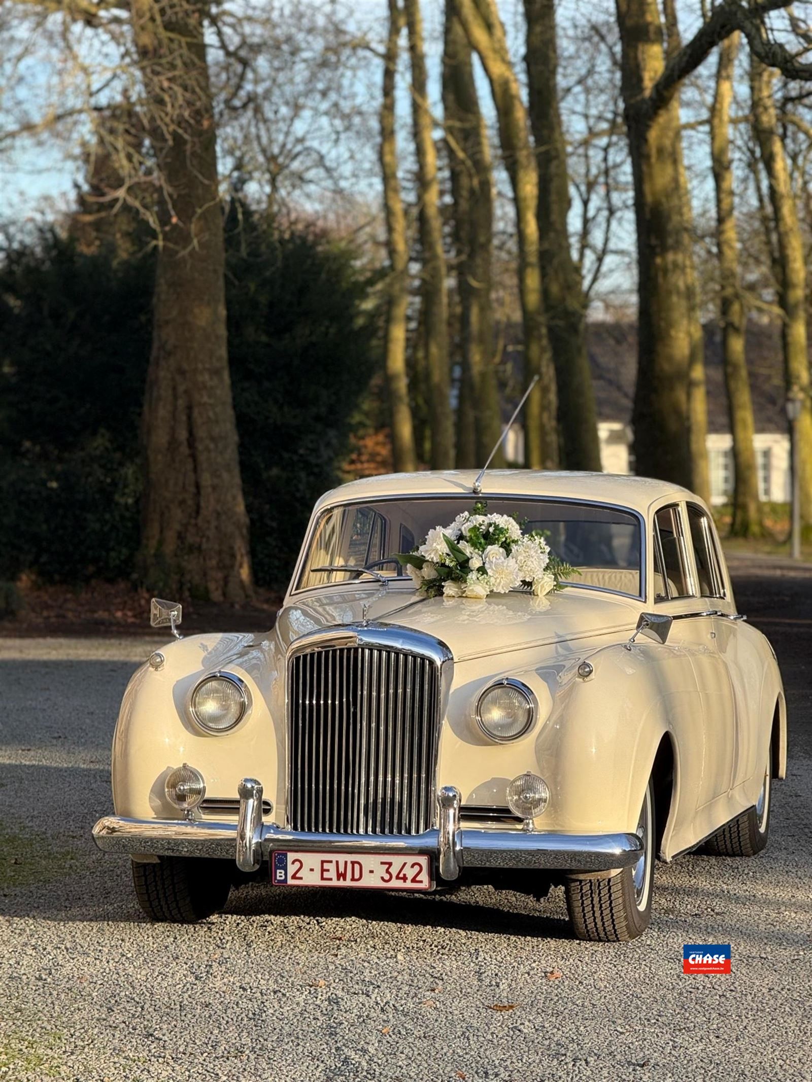 Over te nemen Brasserie regio Noord-Antwerpen foto 6