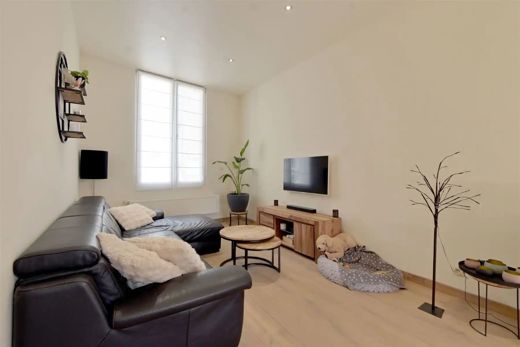 Gerenoveerde woning met 4 slpk's en gezellige zuid-tuin! foto 2