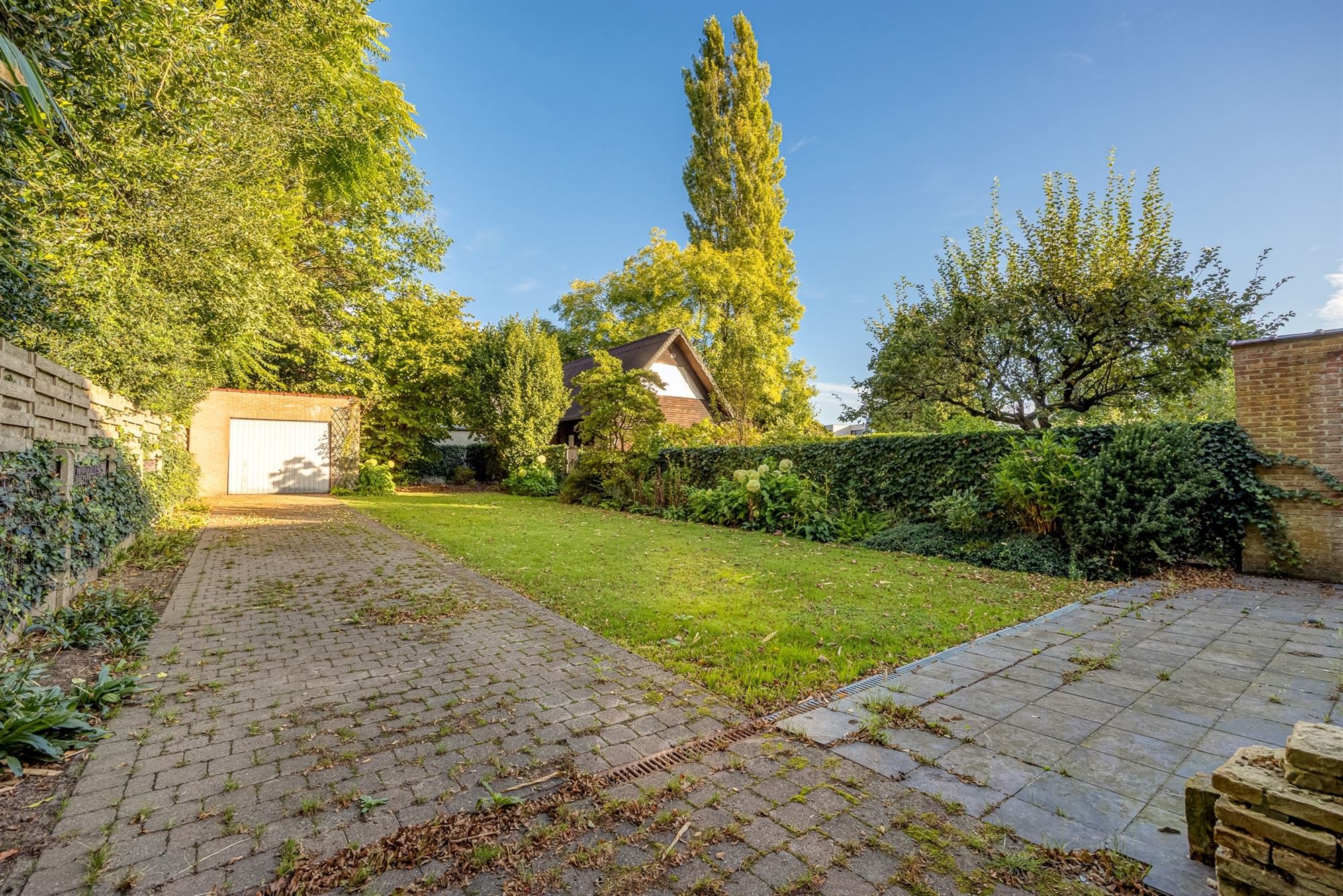 Te renoveren HOB op toplocatie foto 3
