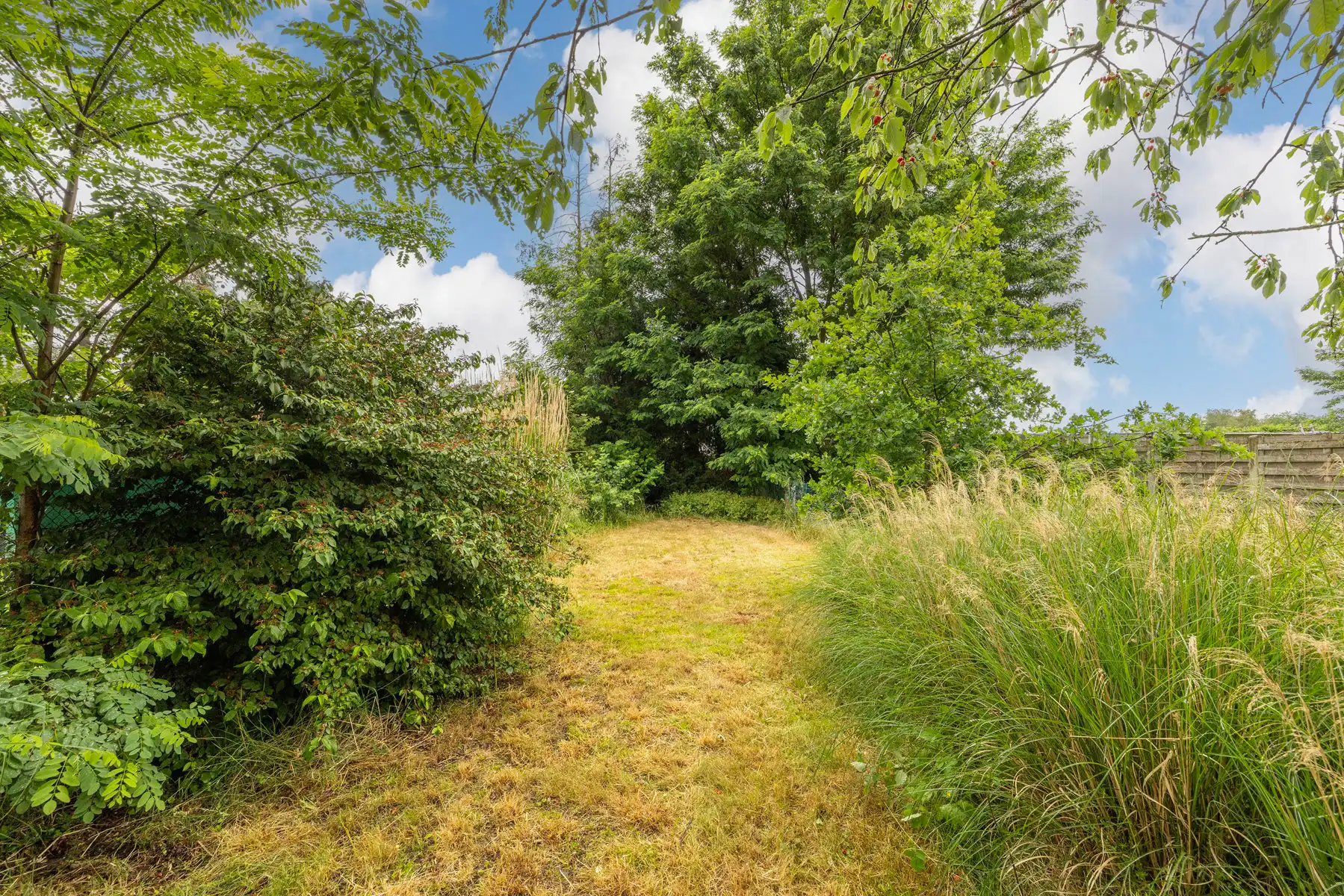 Charmante woning met 2 slpk en tuin foto 18