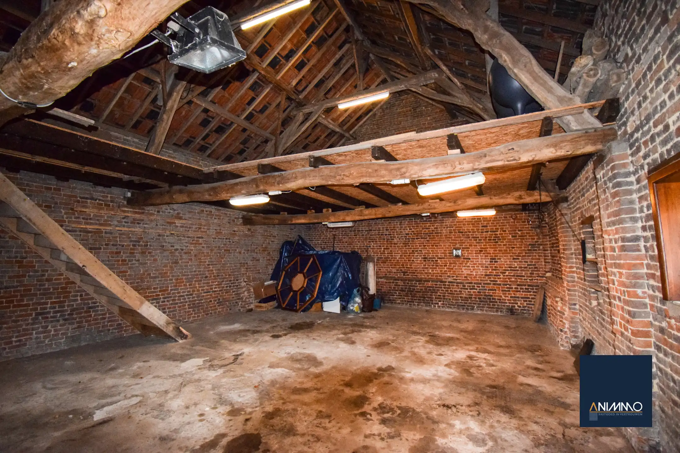 Boerderij te koop foto 43