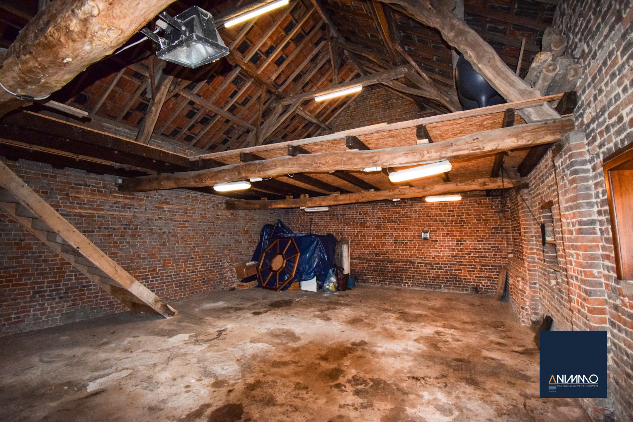 Boerderij te koop foto 42