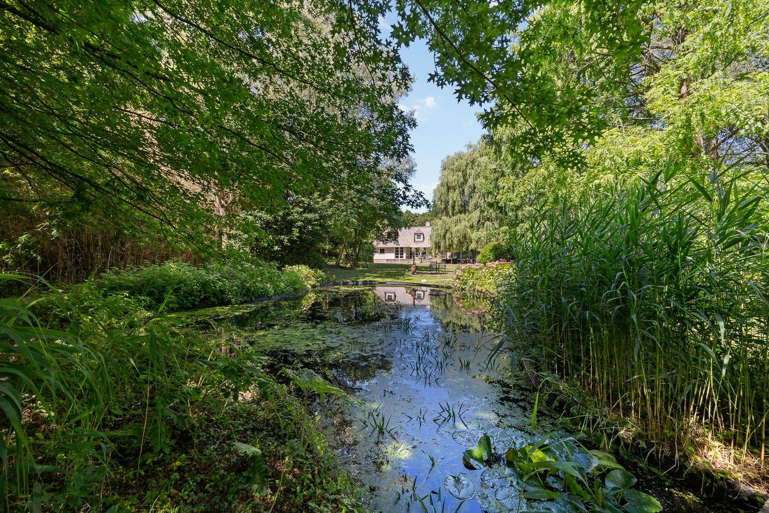 Architecturale rietgedekte villa op 5.717 m² grond foto 28