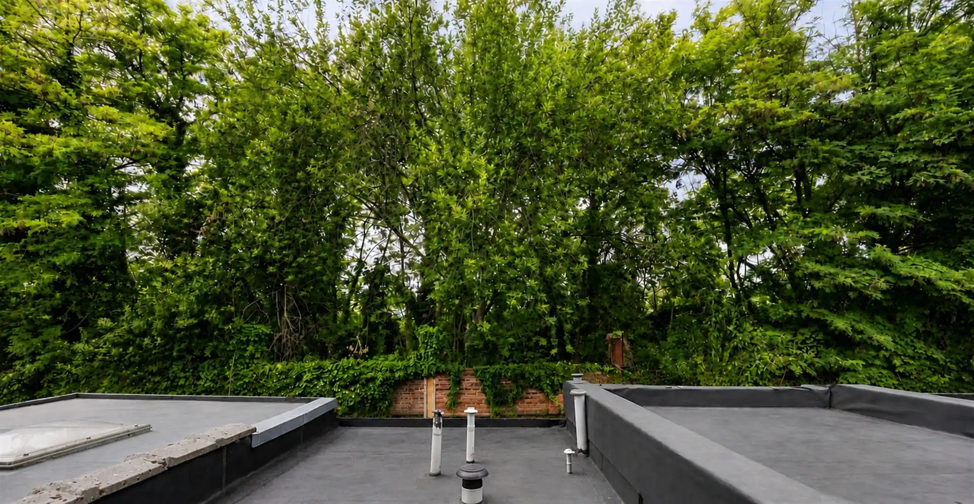 Lichtrijke, gerenoveerde woning in Boom foto 20