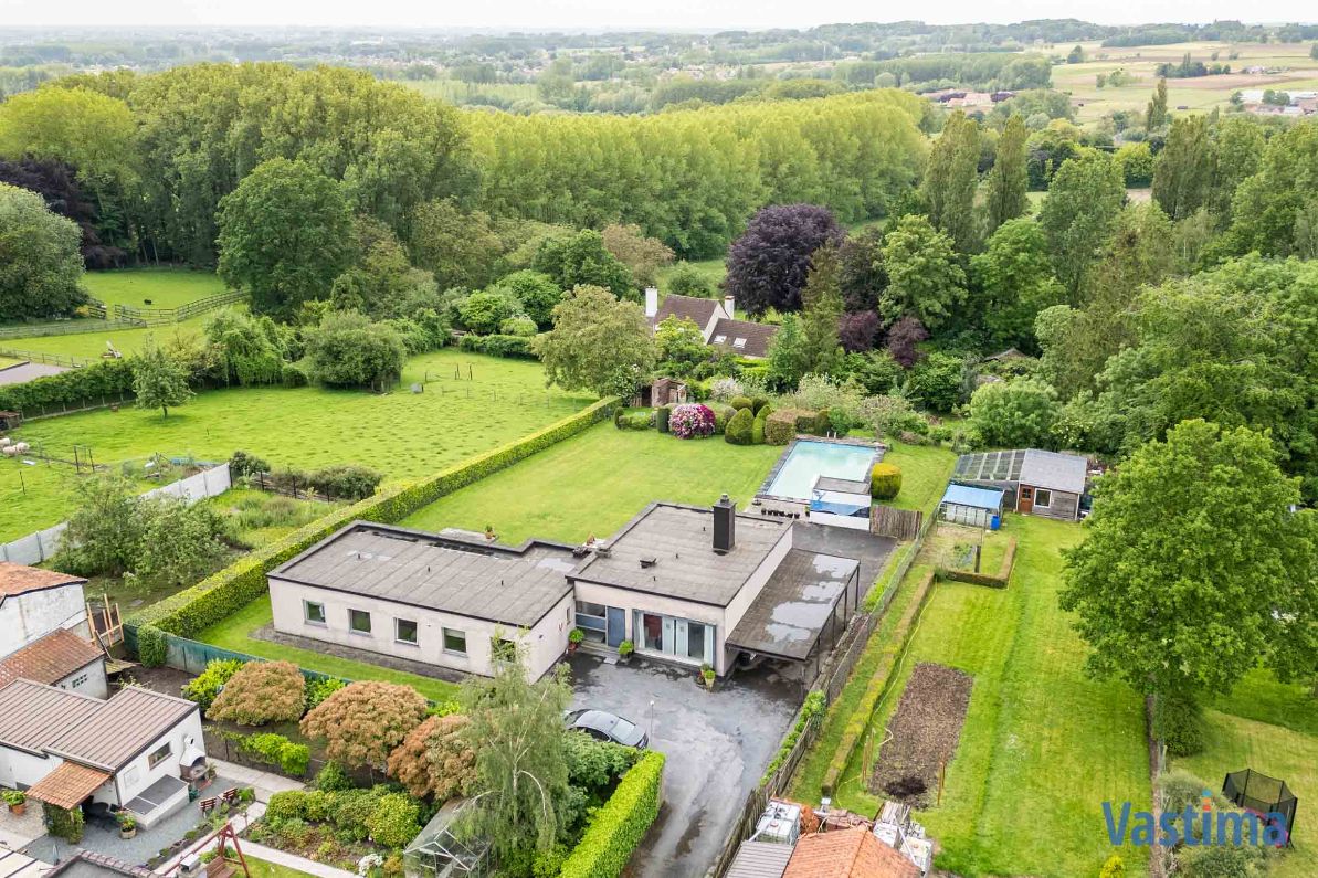 Modernistische Villa met zwembad in een oase van groen foto 3