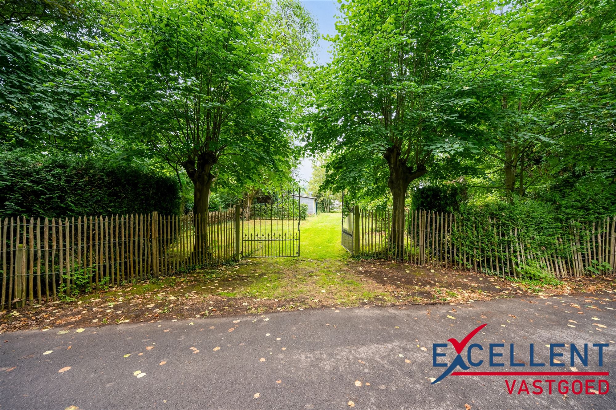 Unieke kans voor natuurliefhebbers foto {{pictureIndex}}