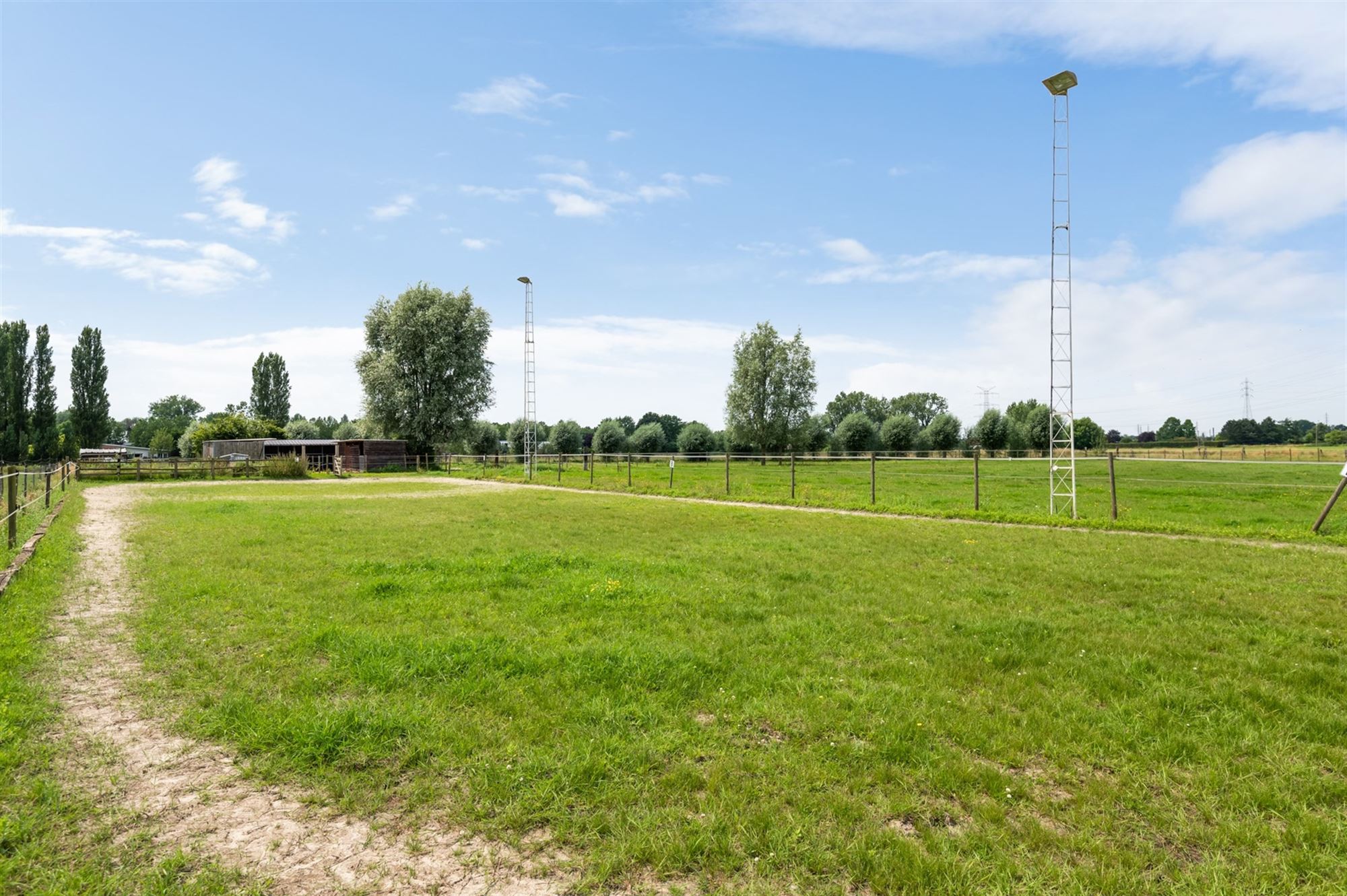 Prachtige paardenweide met stallen en piste foto 19