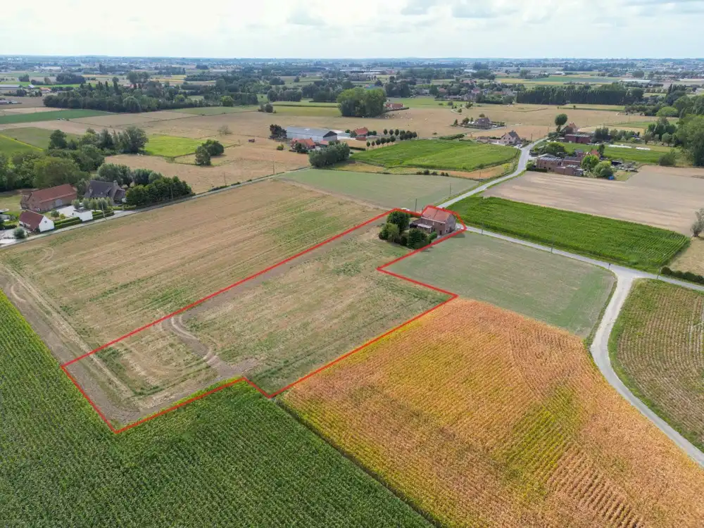 Landelijke woning/bouwgrond met verzichten - Oekene foto 8