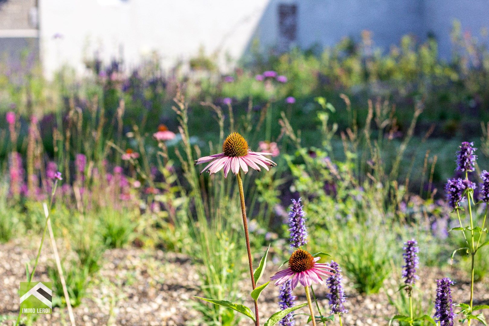 INSTAPKLAAR APPARTEMENT MET 3 SLAAPKAMERS EN GROOT TERRAS - 6% BTW mogelijk! foto 2