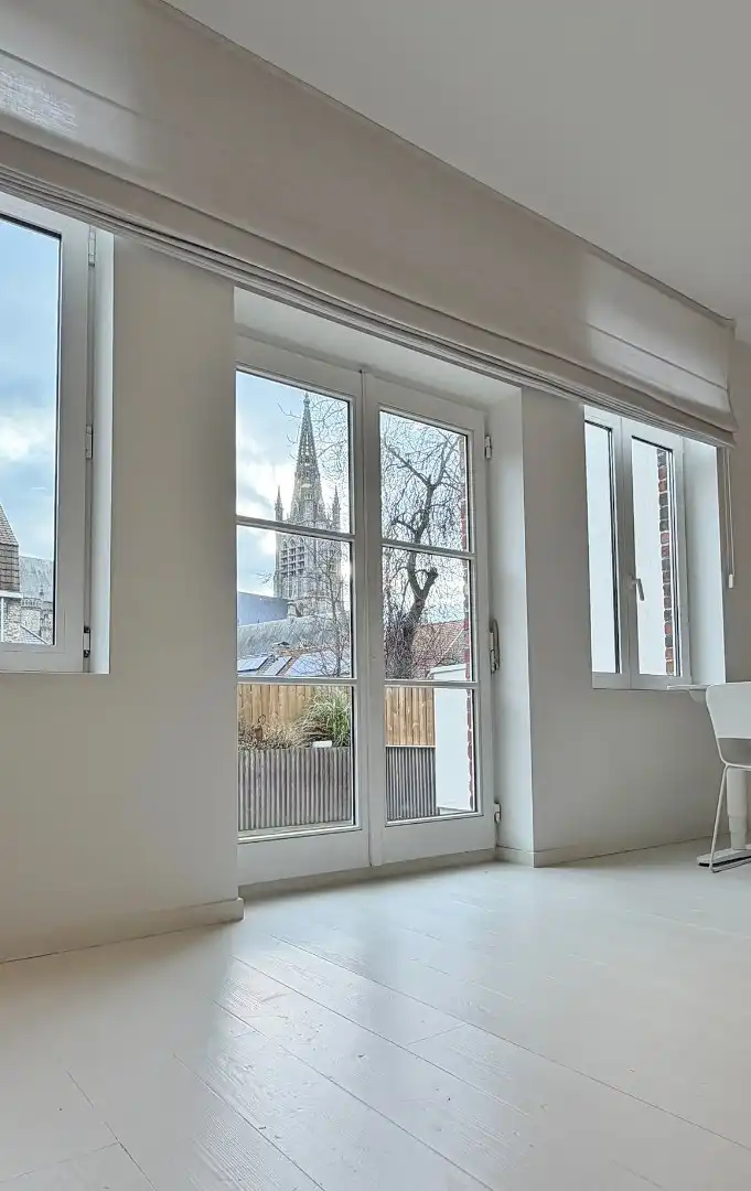 karaktervol herenhuis in het stadscentrum met ruim zonnig terras.  foto 6