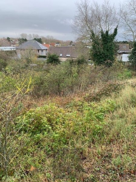 Mooi perceel bouwgrond van 956m² gelegen in de Golflaan te Oostduinkerke vlakbij het duinenreservaat Doornpanne en op wandelafstand van het centrum en de zee. foto 4