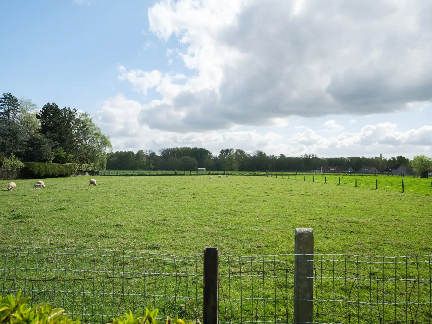 Rustig gelegen, halfopen woning met renovatiepotentieel foto 19