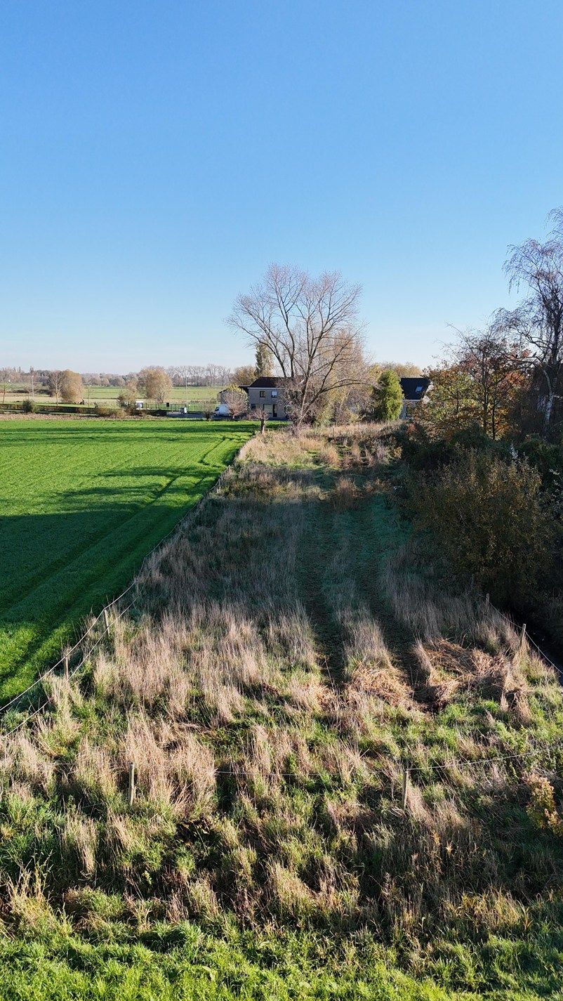 Bouwgrond te koop met uitzonderlijk zicht op de Broucken te Zarren foto 9